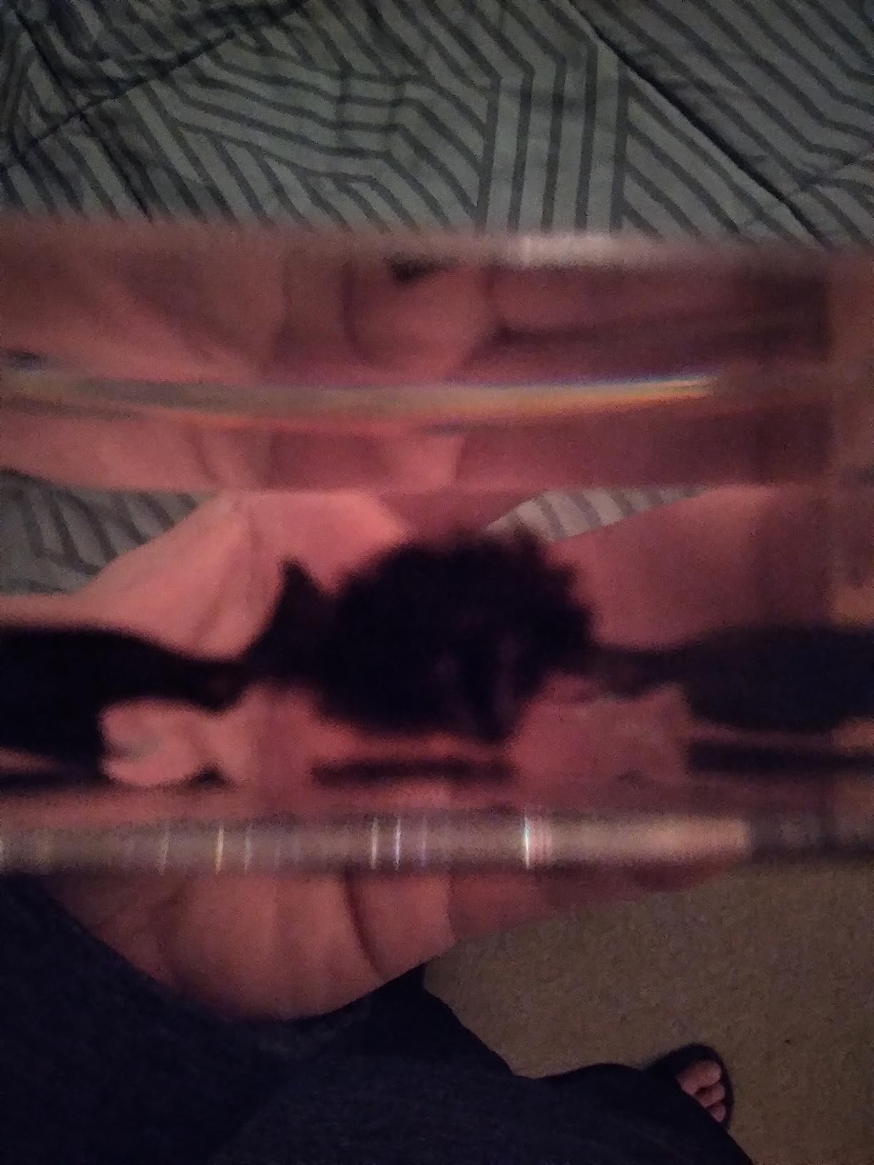 Real Bat Specimens in Resin Paperweight Crafts, Animal Taxidermy Collection for Science Education & Desk Ornament (Bat), 75 x 75 x 24mm (3 x 3 x 1 inch) (FBBF-03) customer photo 1