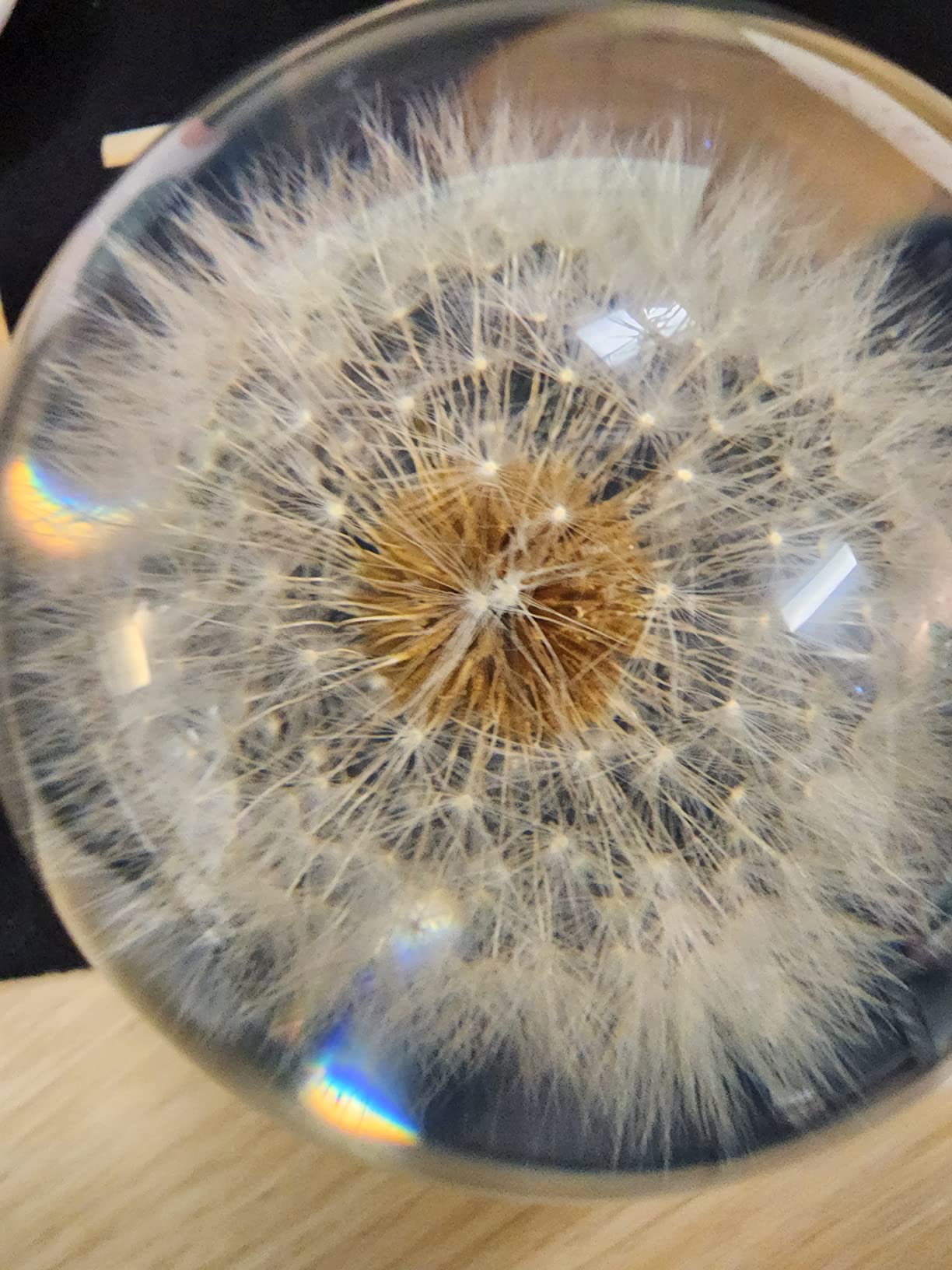 COREFLEX Real Dandelion Paperweight, Dandelion in Resin Ball in Gift Box, 2.75inch(70mm) Home Office Desktop Decor Decoration, Birthday, Wedding Gift and Valentine's Day customer photo 1