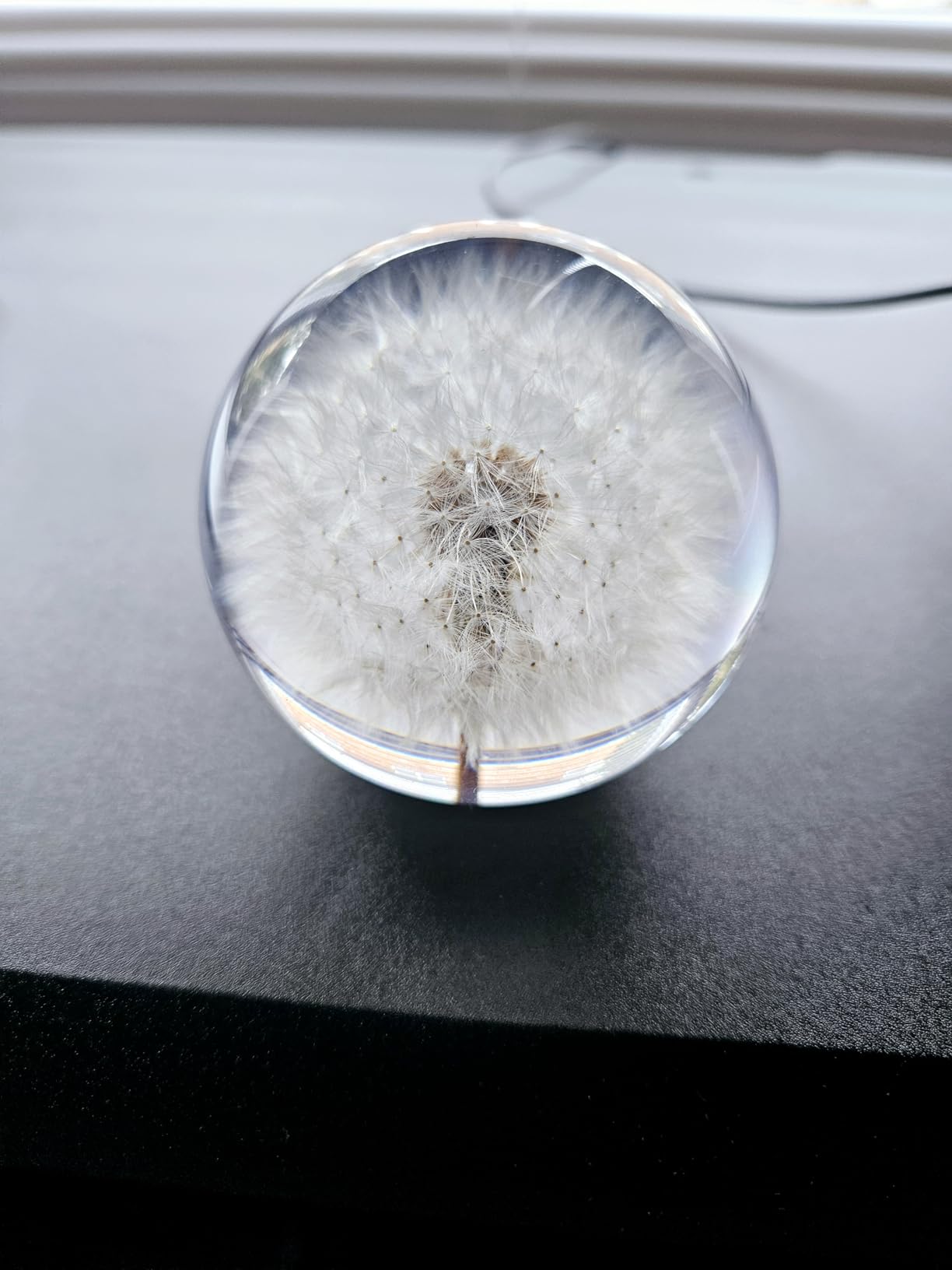 COREFLEX Real Dandelion Paperweight, Dandelion in Resin Ball in Gift Box, 2.75inch(70mm) Home Office Desktop Decor Decoration, Birthday, Wedding Gift and Valentine's Day customer photo 2