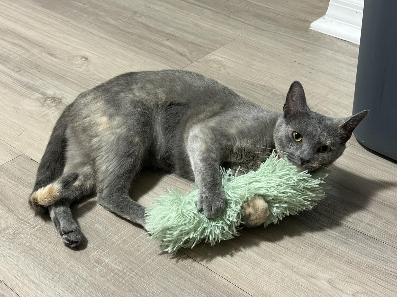 Potaroma Cat Toys Pillows, 3 Pack, Catnip Inside, Indoor Interactive Fun | Crinkle Sound, Soft Durable, Kitten Kicker, Promotes Kitty Exercise customer photo 1