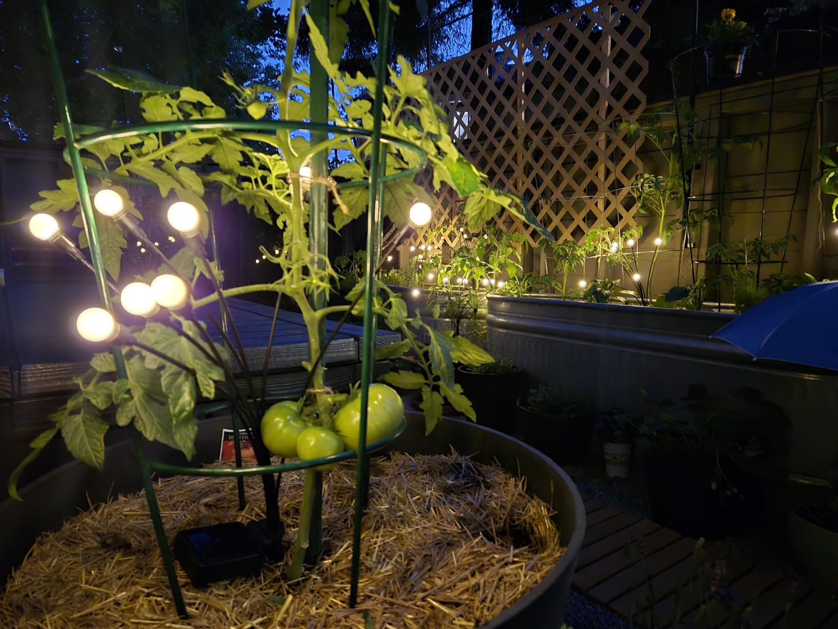 TONULAX Solar Garden Lights - Upgraded Solar Swaying Light, Sway by Wind, Outdoor Lights, Yard Patio Pathway Decoration, High Flexibility Iron Wire & Heavy Bulb Base, Warm White(2 Pack) customer photo 1
