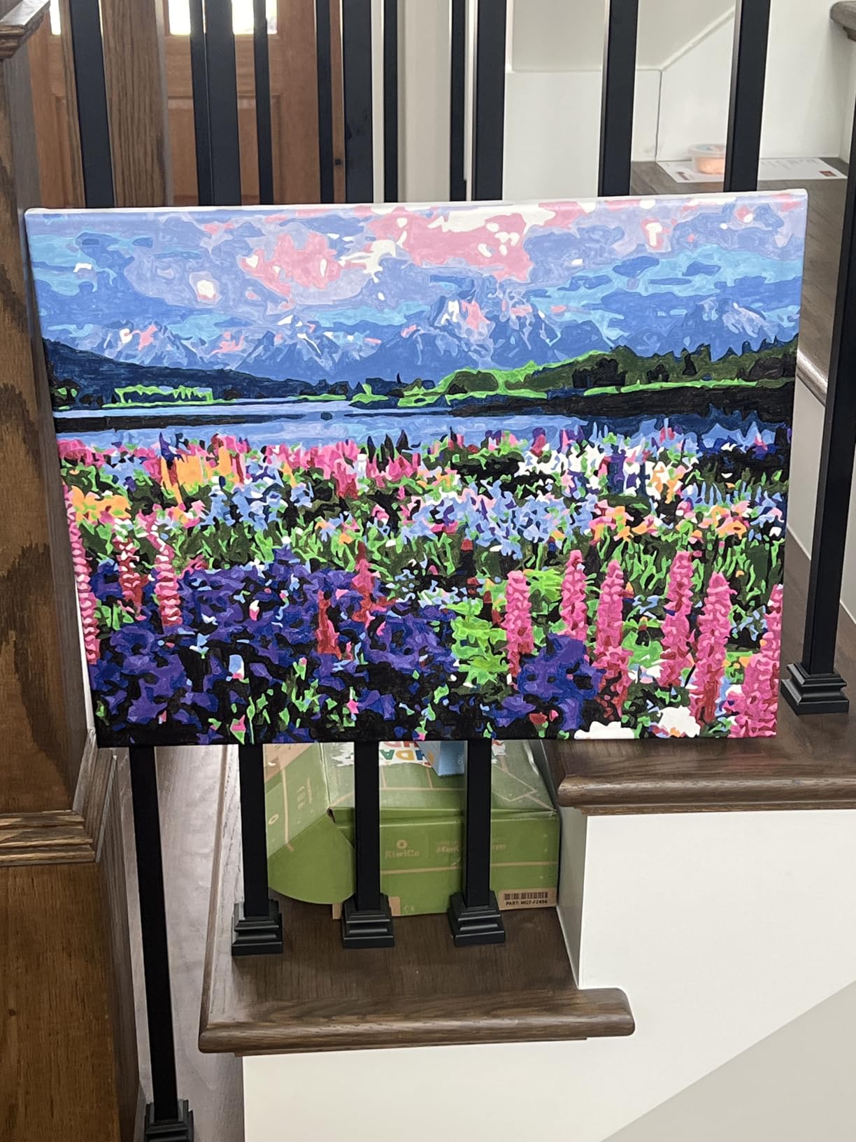 Figured'Art Paint by Numbers Kit for Adults with Frame Flowers and Lake Near The Mountain 16