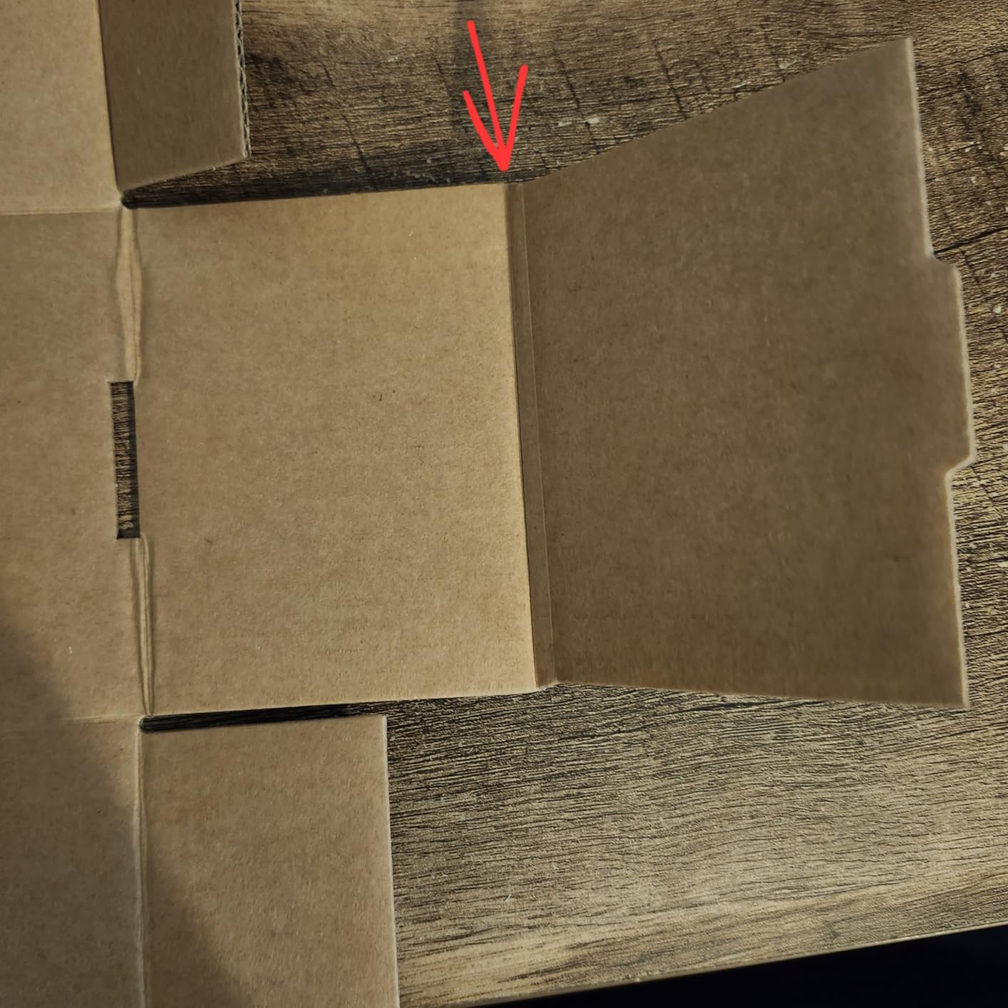 Fageverld Trading Card Storage Box, Mtg Storage Box with Dividers, Cardboard Collector Box for TCG, Baseball Sports Cards, 6 Count customer photo 2