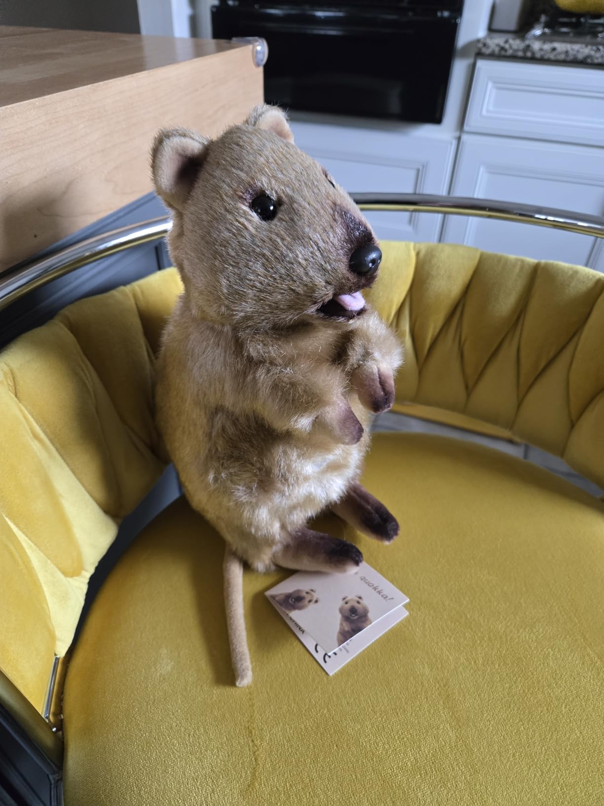 KEAIART Realistic Quokka Plush Toy - 10 Inch Stuffed Animal with Pouch & Soft Tongue, Cute Smile Kangaroo Marsupial Plushie, Perfect Birthday for Kids and Quokka Lovers customer photo 2
