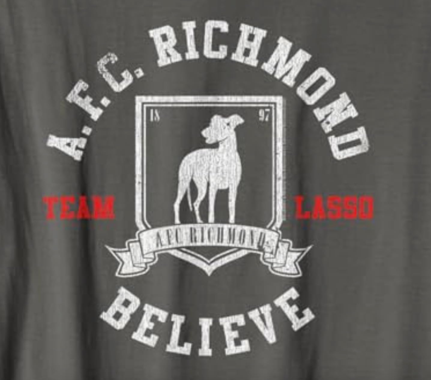Ted Lasso AFC Richmond Believe Soccer TV Show T-Shirt customer photo 1