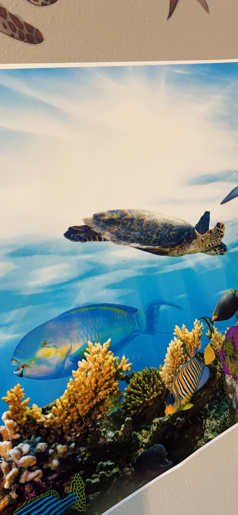 Sea Life Poster Great Barrier Reef Ocean Posters Colorful Fish Tropical Coral Under The Sea Cool Wall Art Print Poster 24x72 customer photo 2