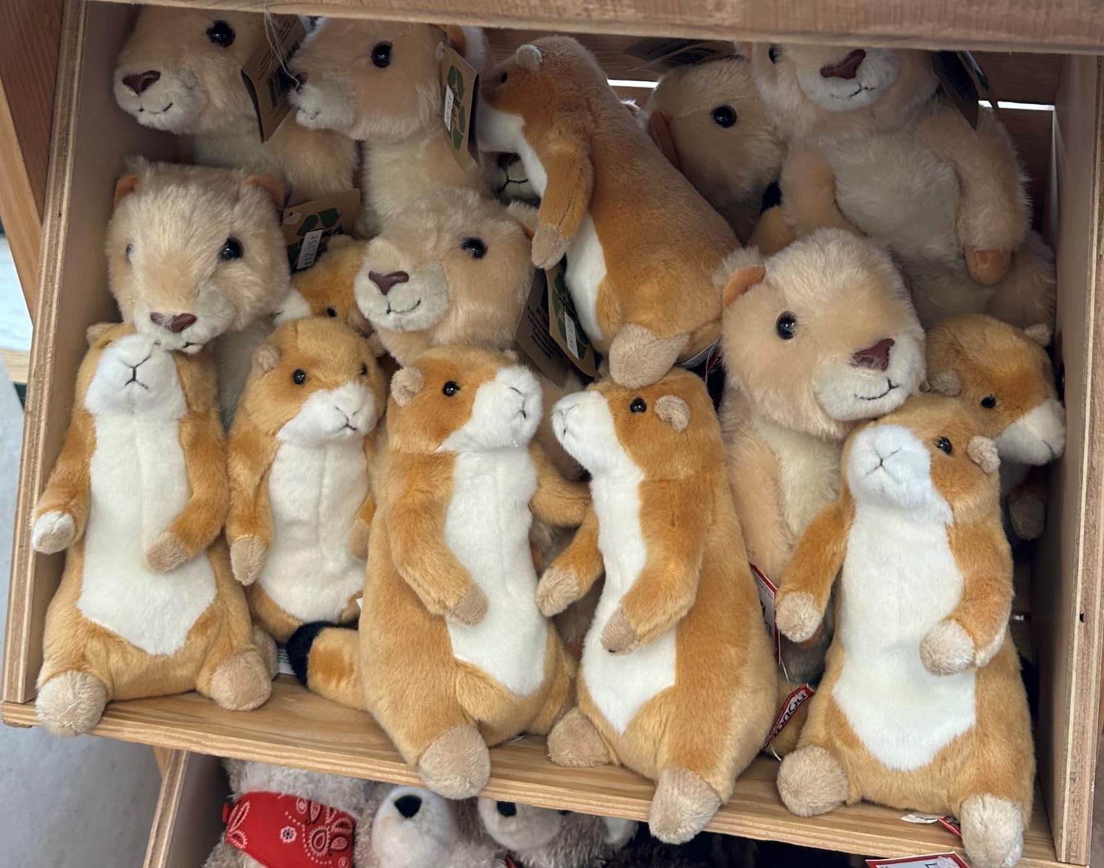 The Petting Zoo Prairie Dog Stuffed Animal, Wild Onez, Kids Gifts, 9 in customer photo 1