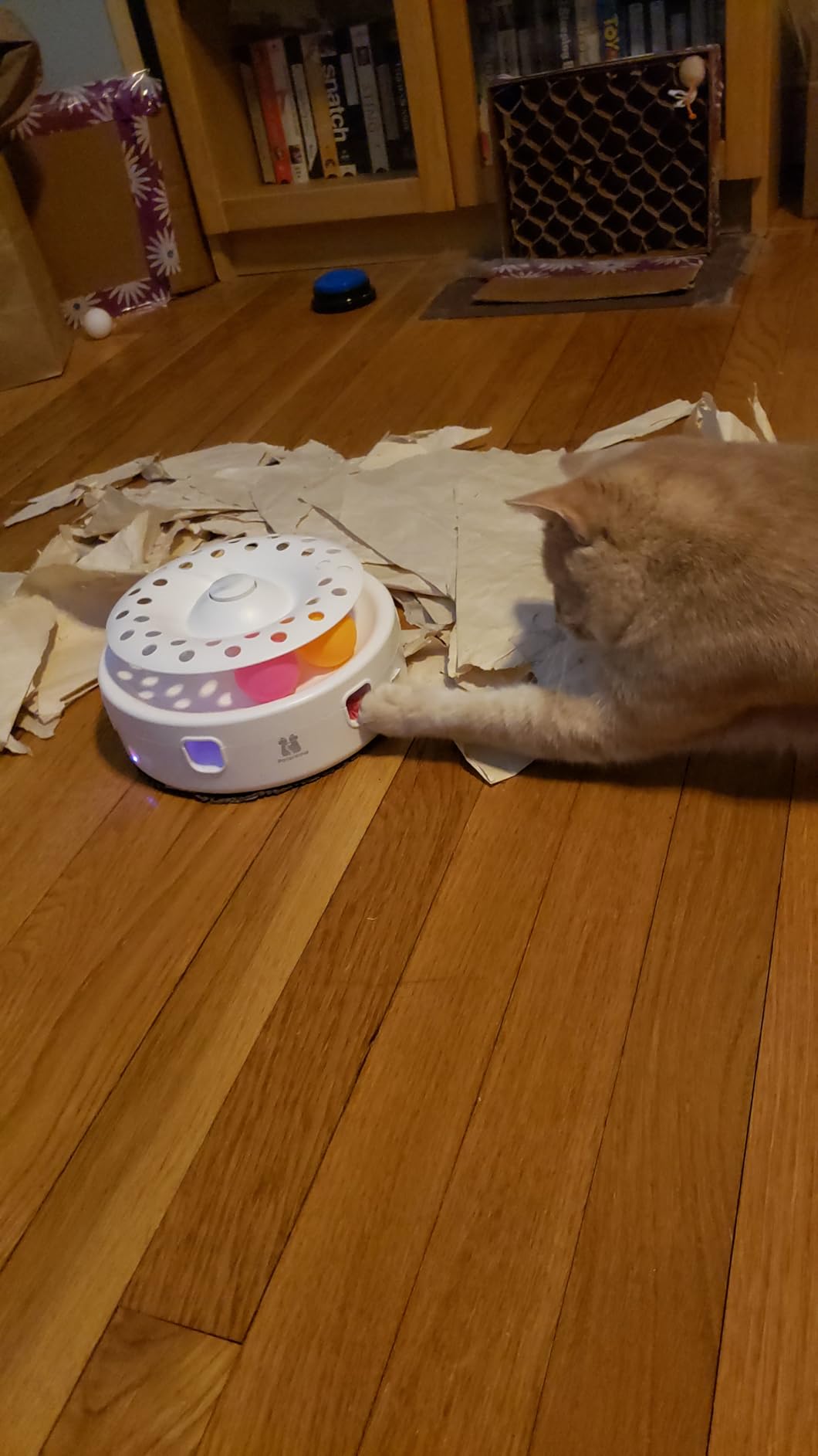 Potaroma Cat Toys 3in1 Automatic Interactive Kitten Toy, Fluttering Butterfly, Moving Feather, Track Balls, Dual Power Supplies, USB Powered, Indoor Exercise Kicker (Bright White) customer photo 1