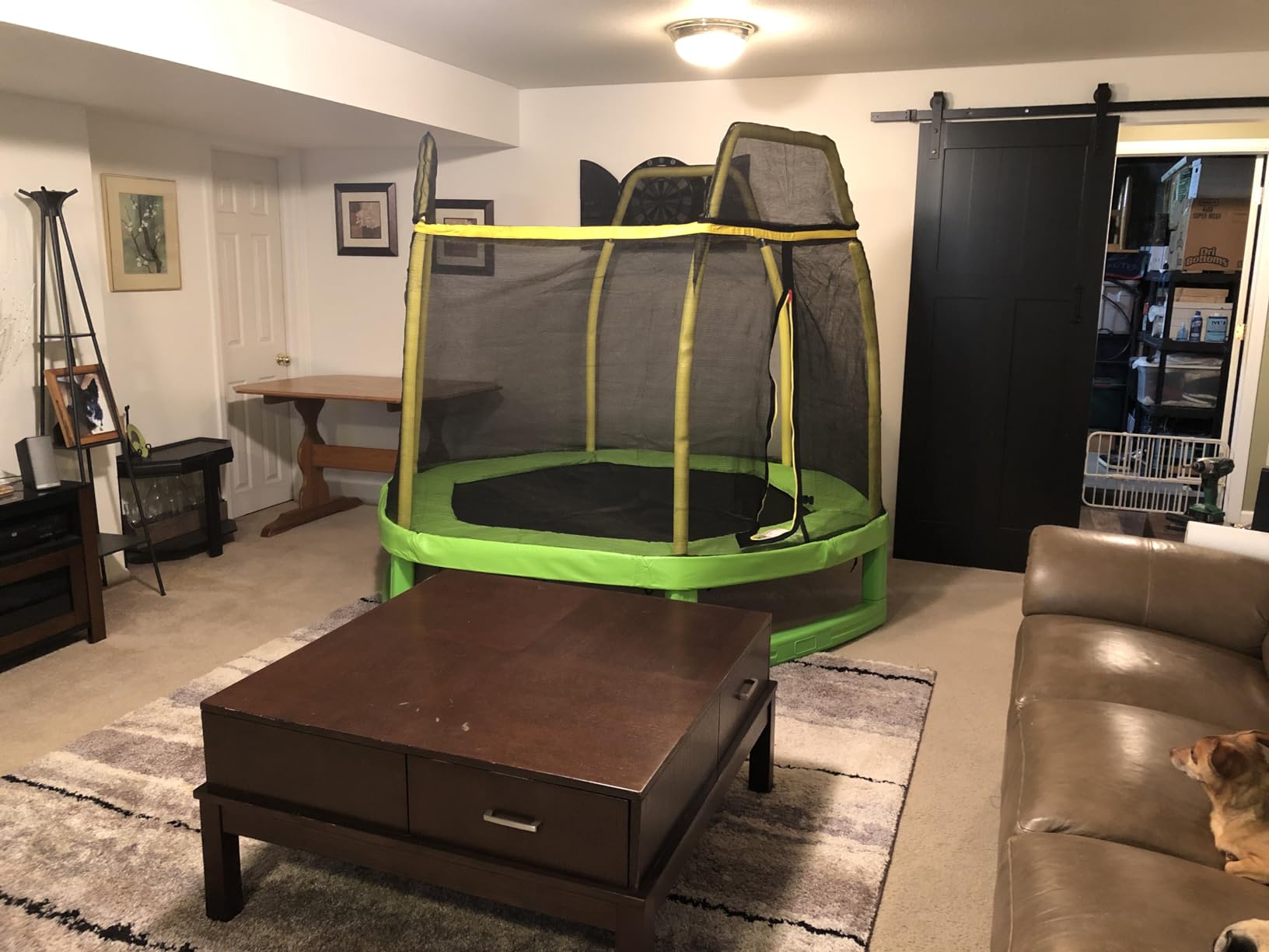 Giantex 7 Ft Trampoline for Kids, Heavy Duty Steel Frame Small Mini Toddler Trampoline, Great Gifts for Boys Girls, Outdoor Indoor Kids Trampoline with Net, for Age 3-8 customer photo 1