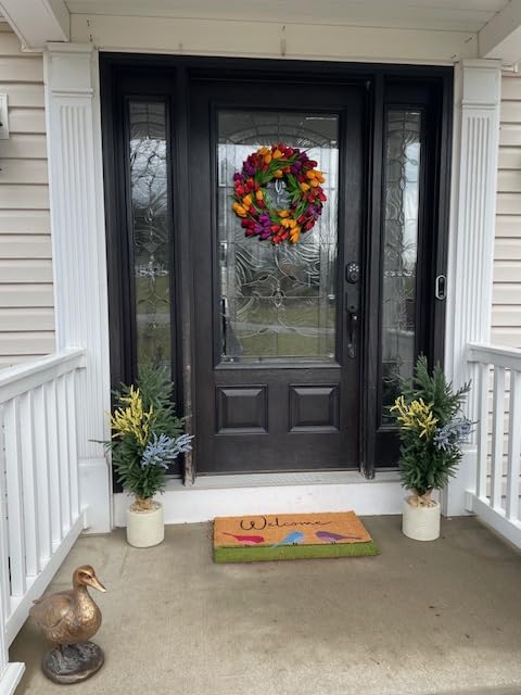 Coir Welcome Mat, Non-Slip, Colorful Birds, 17 x 29 in | 100% Natural Coir, Anti-Shedding, Durable PVC Backing, Traps Dirt and Mud, Indoor and Outdoor Entryway, Easy to Clean customer photo 1