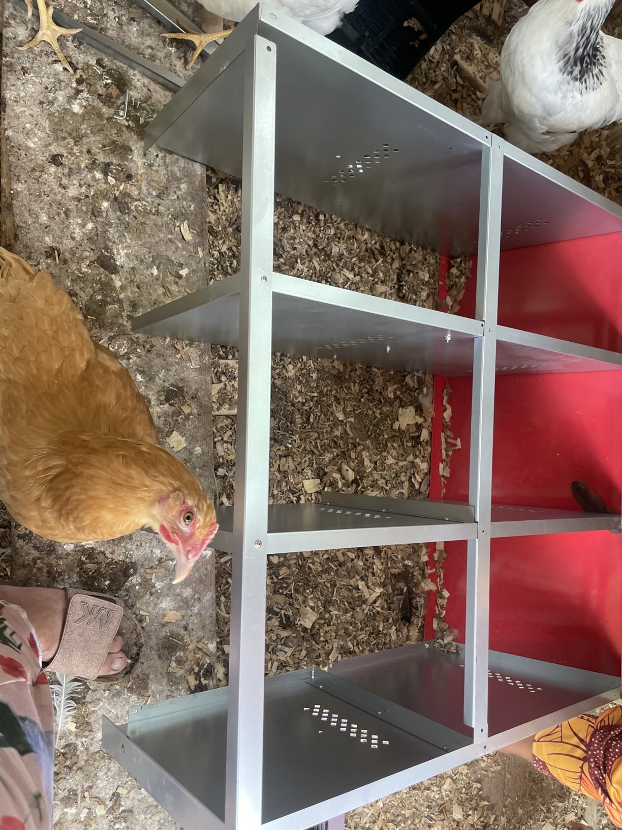 ZenxyHoC Chicken Nesting Box Red 3 Compartments customer photo 1