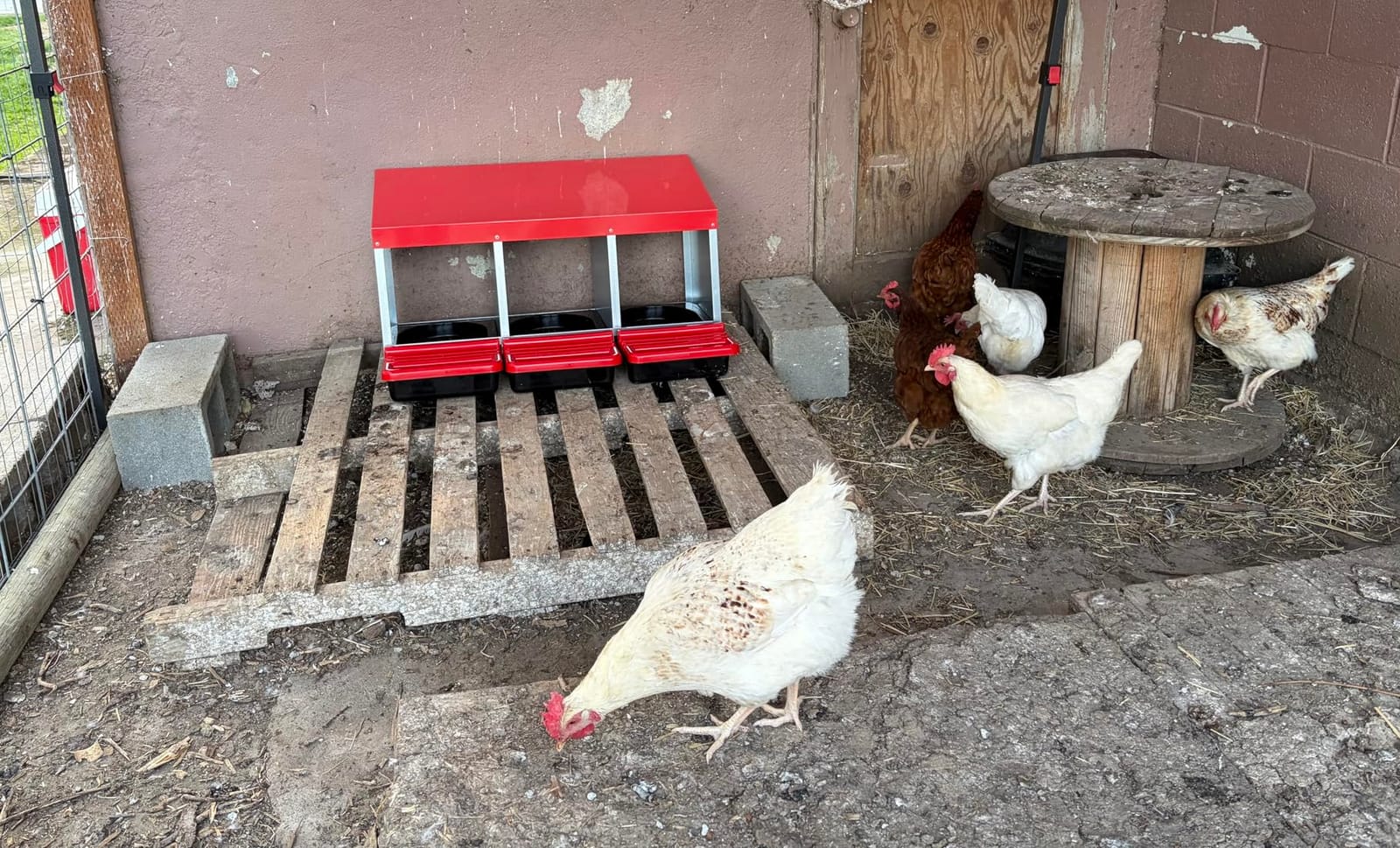 ZenxyHoC Chicken Nesting Box Red 3 Compartments customer photo 2