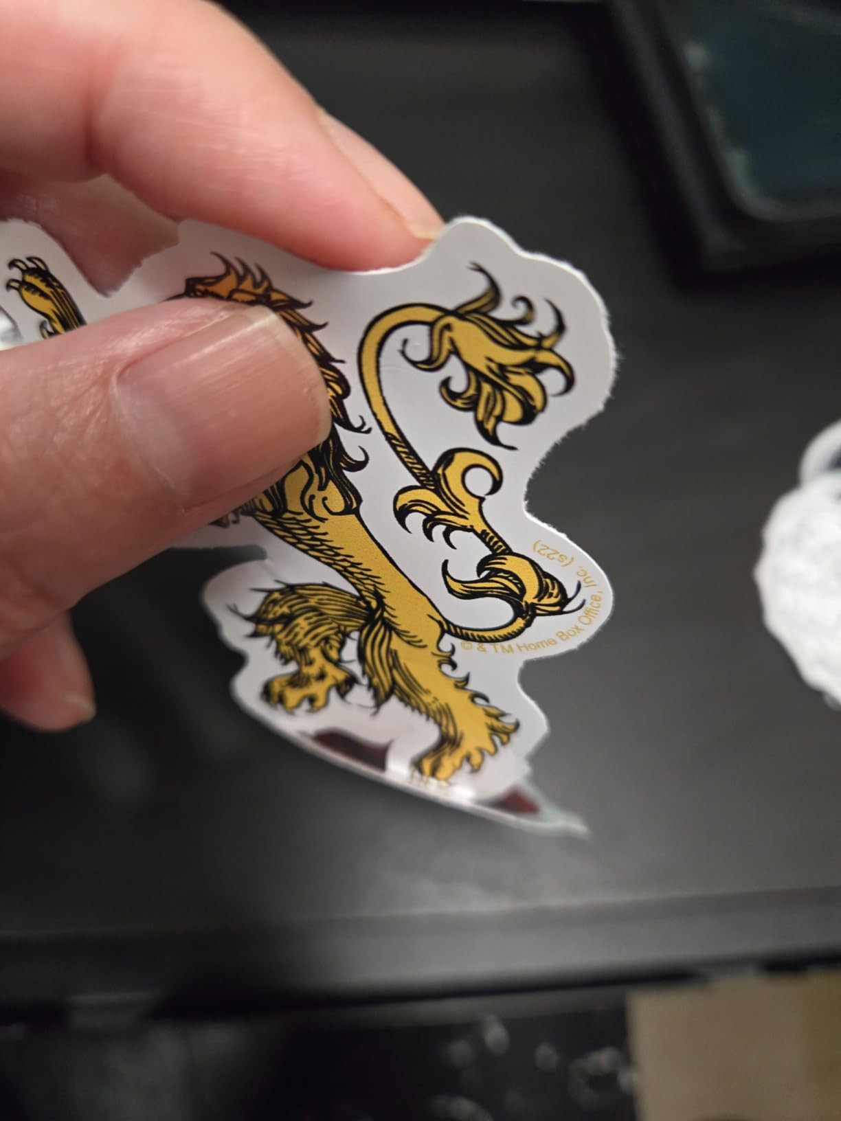 Game of Thrones & House of The Dragon 50 Sticker Pack – Waterproof Vinyl customer photo 1
