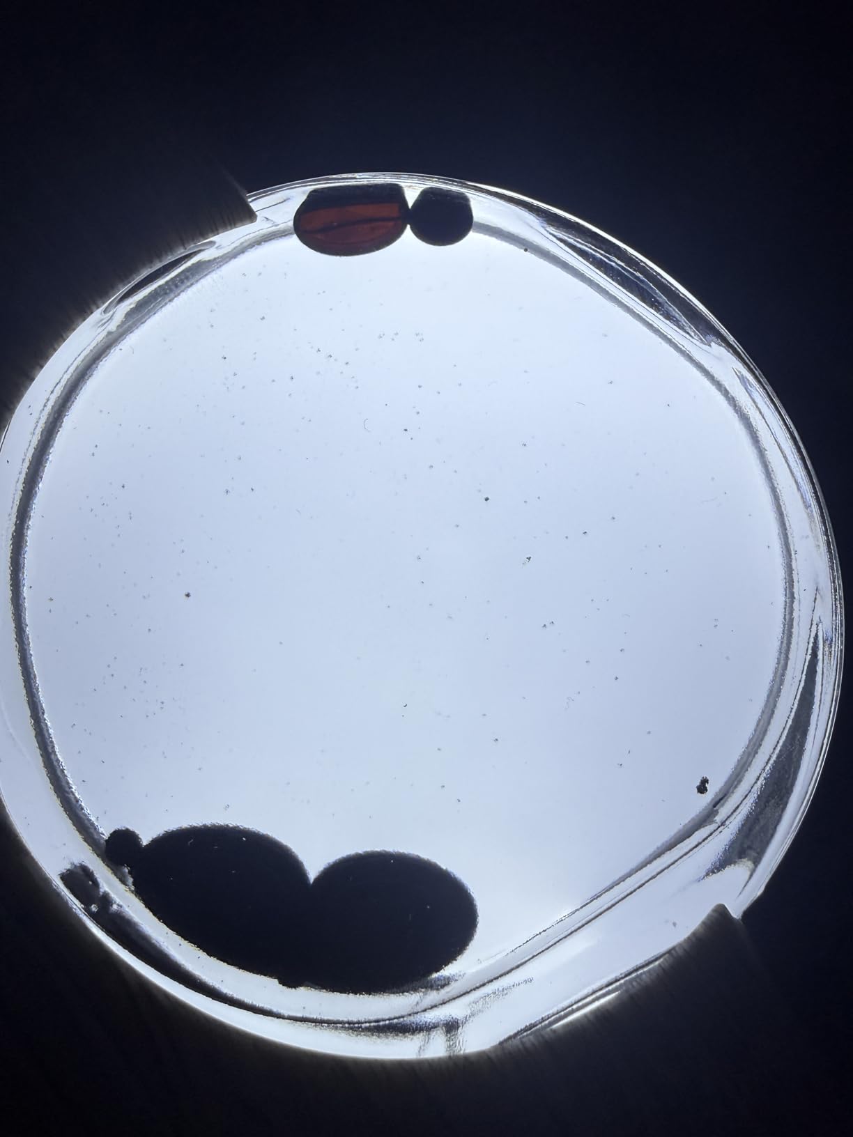 Dancing Ferrofluid Sound Visualizer, Mysterious Liquid Office desk Decor customer photo 2