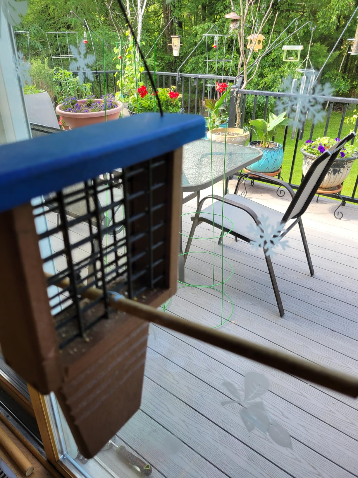 Kingsyard Suet Bird Feeder with Tail-Prop customer photo 1