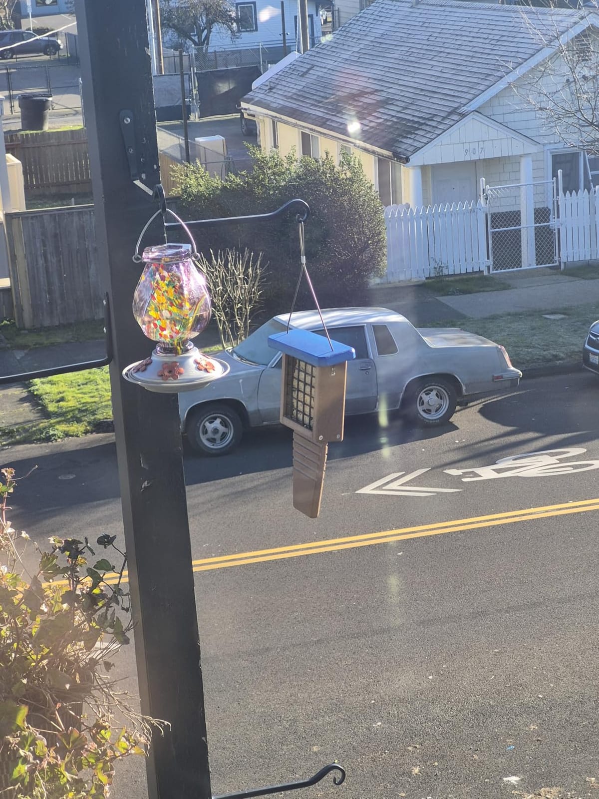Kingsyard Suet Bird Feeder with Tail-Prop customer photo 2