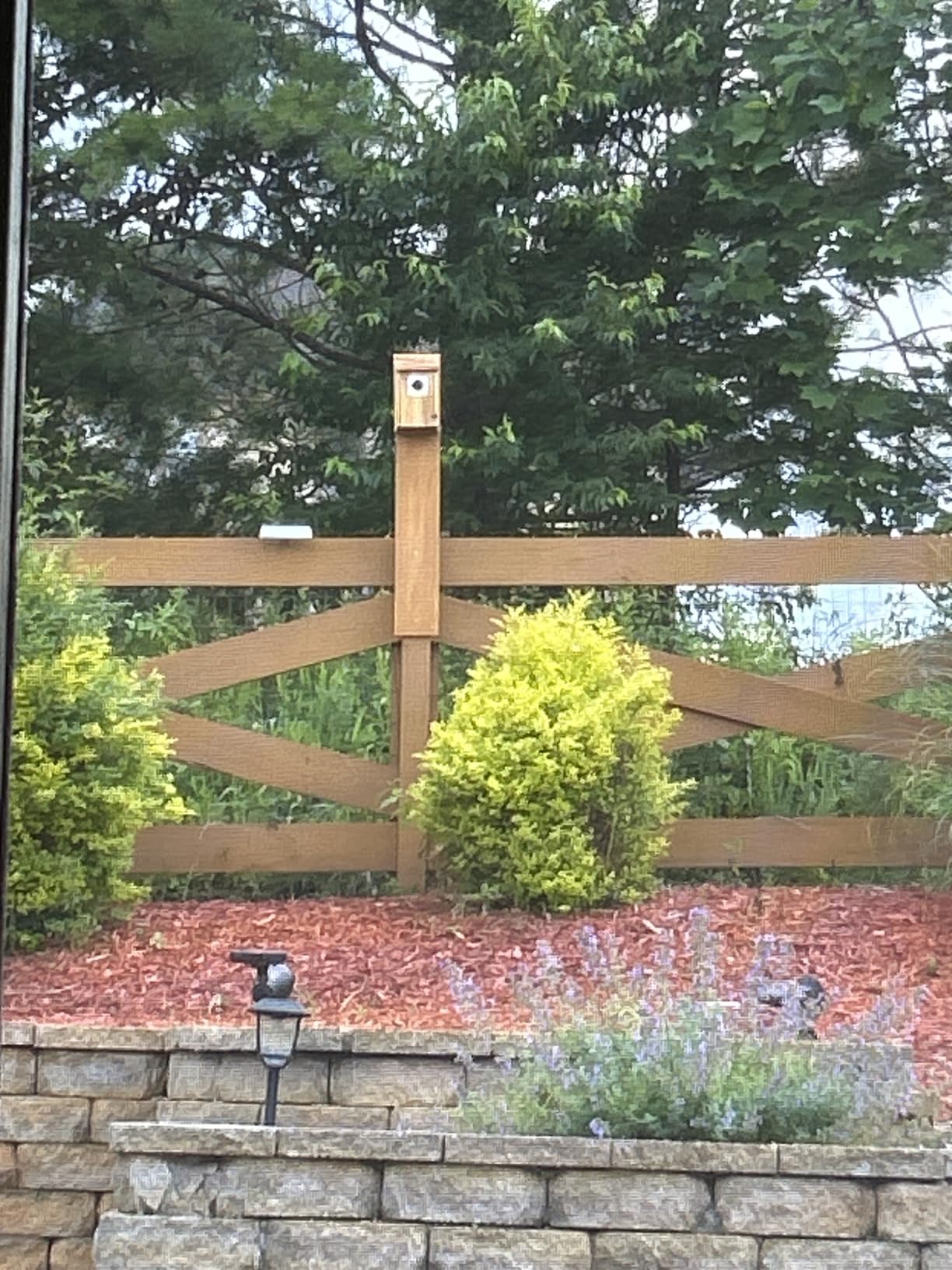UUMENHA Bird Houses for Outside with Metal Predator Guard customer photo 2