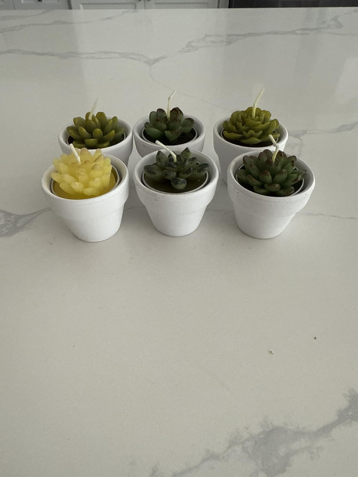 Shihanee 36 Pcs Succulent Cactus Tealight Candles | Mini potted cactus candles add warm table decor for fiesta parties, showers, weddings and guest favors customer photo 1