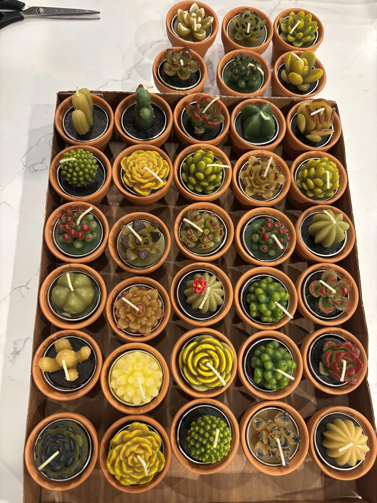 Shihanee 36 Pcs Succulent Cactus Tealight Candles | Mini potted cactus candles add warm table decor for fiesta parties, showers, weddings and guest favors customer photo 2