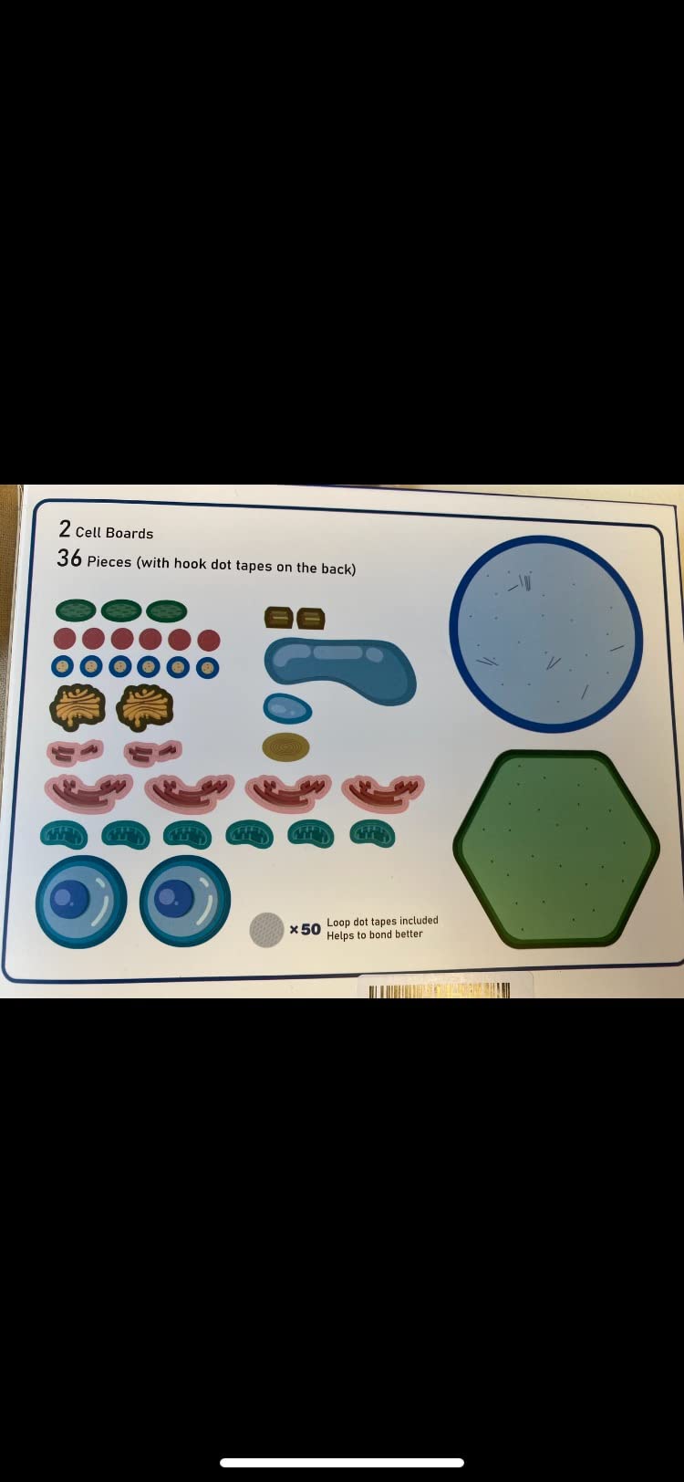 GiftAmaz Animal and Plant Cell Anatomy Model, Soft Felt Science Model Toy | Early Cell Biology and Life Science STEM Toy, Classroom Teaching Aid, Educational Learning Activities Birthday Toy for Kid 6+ customer photo 1