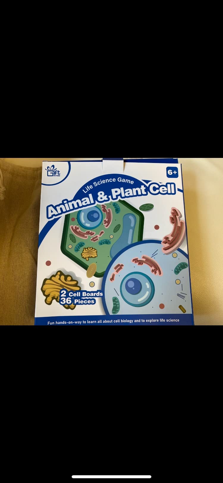 GiftAmaz Animal and Plant Cell Anatomy Model, Soft Felt Science Model Toy | Early Cell Biology and Life Science STEM Toy, Classroom Teaching Aid, Educational Learning Activities Birthday Toy for Kid 6+ customer photo 2