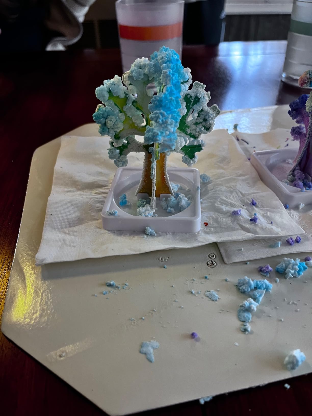 National Geographic Craft Kits for Kids - Crystal Growing Kit, Grow 6 Crystal Trees in Just 6 Hours, Educational Craft Kit with Art Supplies, Geode Specimen, STEM Arts & Crafts Kit (Amazon Exclusive) customer photo 2