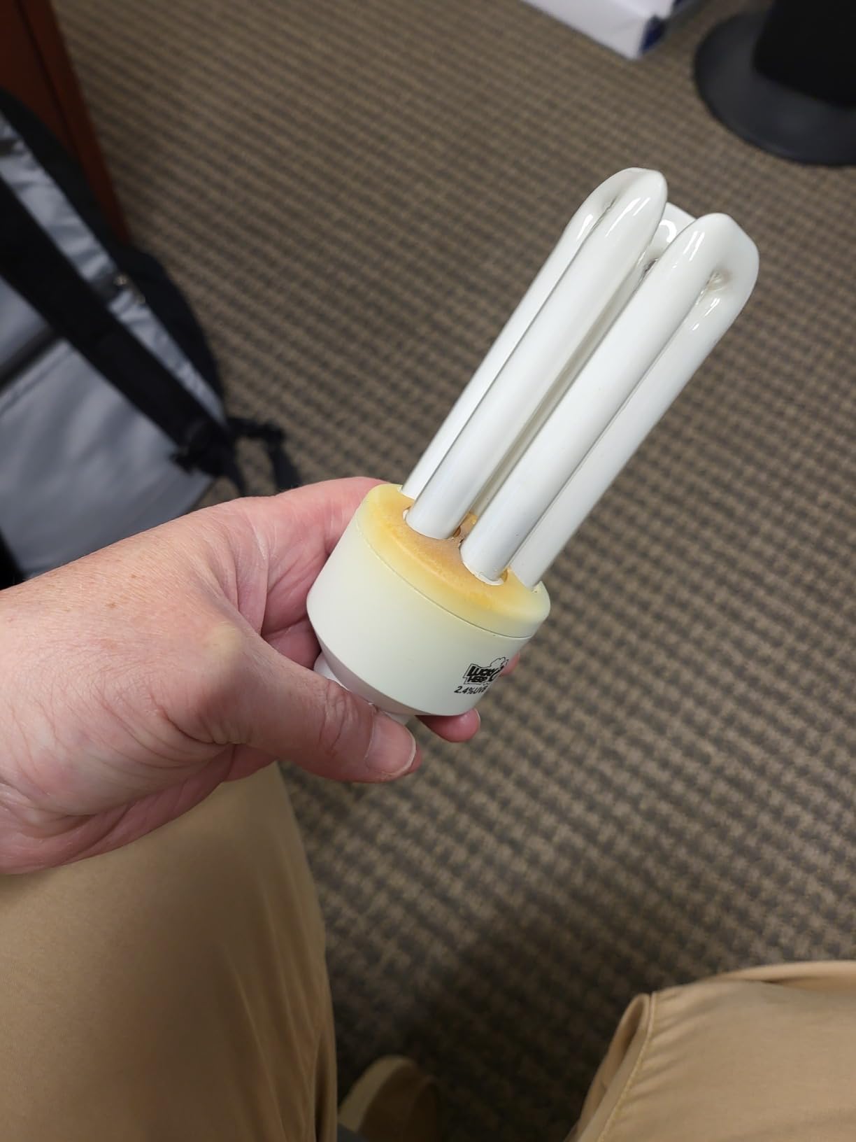 LUCKY HERP 2.4% UVB Bird Fluorescent Bulb 20W - Full Spectrum Avian Light for Parrots, Cockatiels & Conures - Promotes Vitamin D3 & Feather Health - E26 Base, 3-U Tube CFL customer photo 1