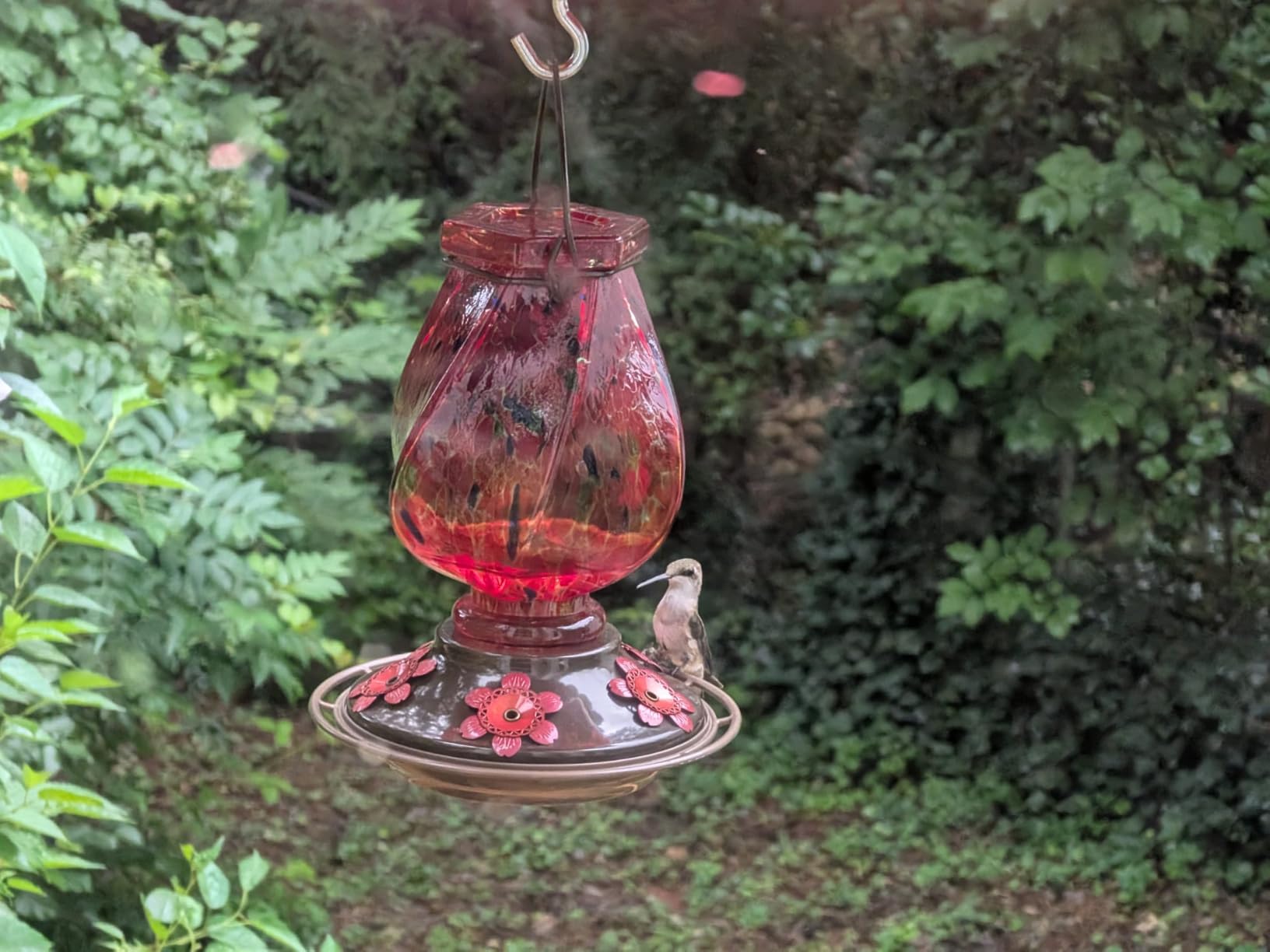 BOLITE Hummingbird Feeders for Outdoors Hanging, Hand Blown, Red, 22oz | Glass Hummingbird Feeder with Ant Moat, 5 Bee-Proof Ports, Leak-Proof, 360° Perch, Garden Decor, Gifts for Women Men Mom Dad customer photo 1