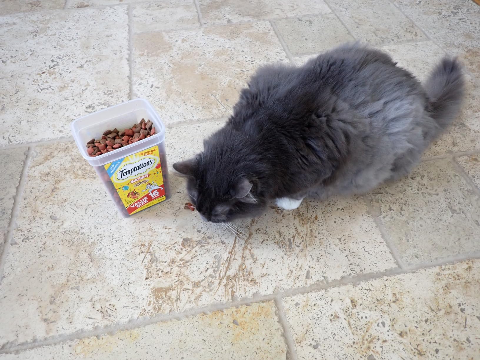 Temptations Birthday Crunchy Cat Treats, Lobster & Beef, 6.3 oz, 10 Pack customer photo 1