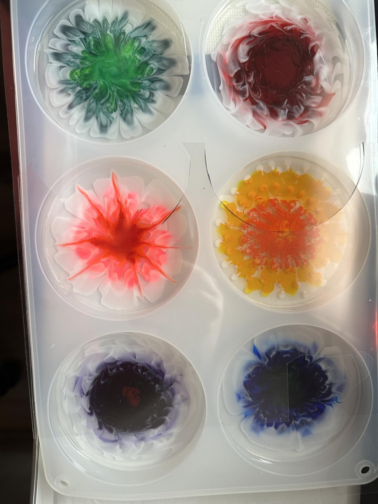RESINWORLD 6-Cavity Deep Round Coaster Molds - 4 Inches Coaster Silicone Molds for Epoxy Resin, Coaster Resin Molds for Flower Bouquet Preservation customer photo 2