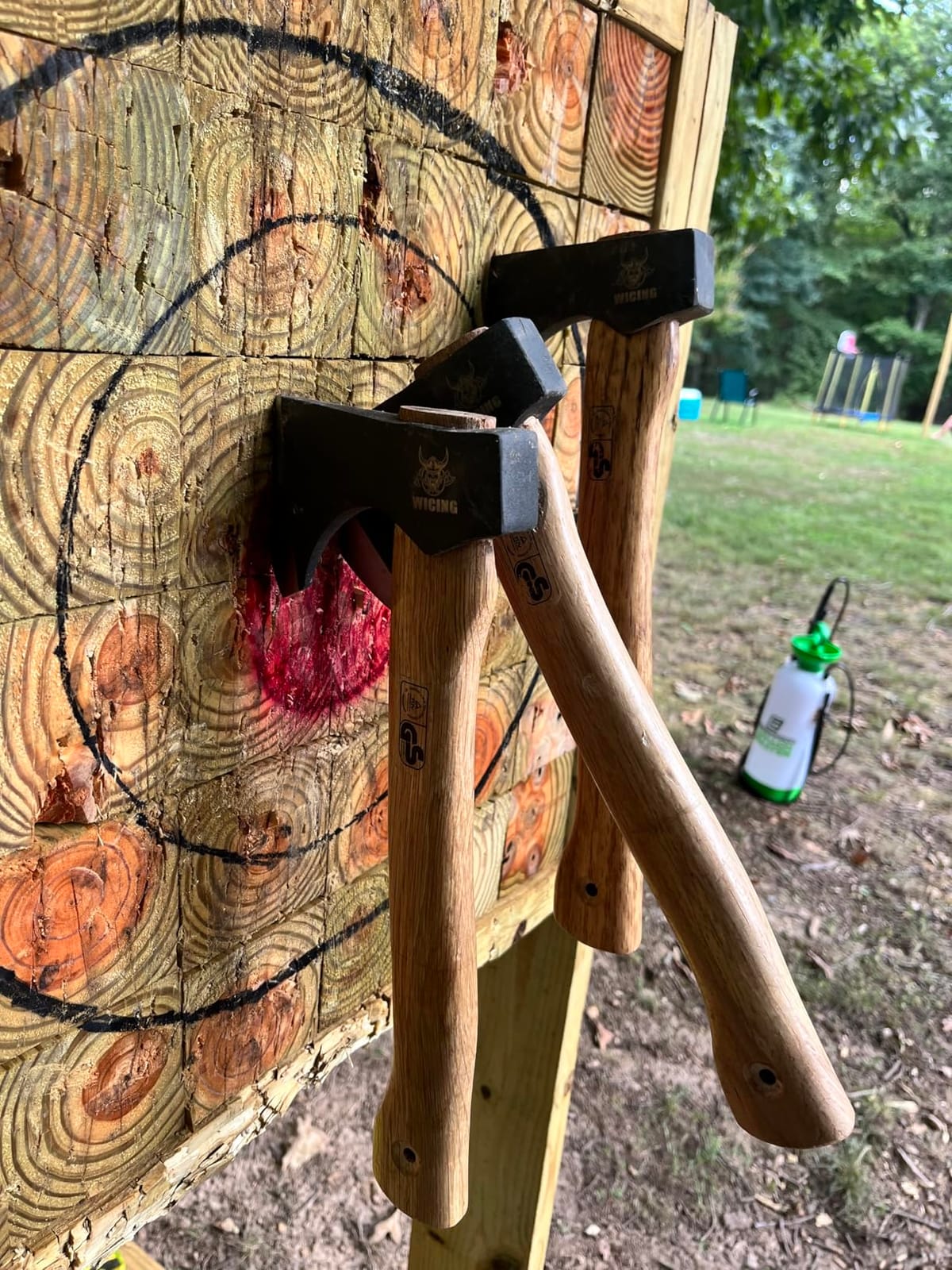 Throwing Axes - 14