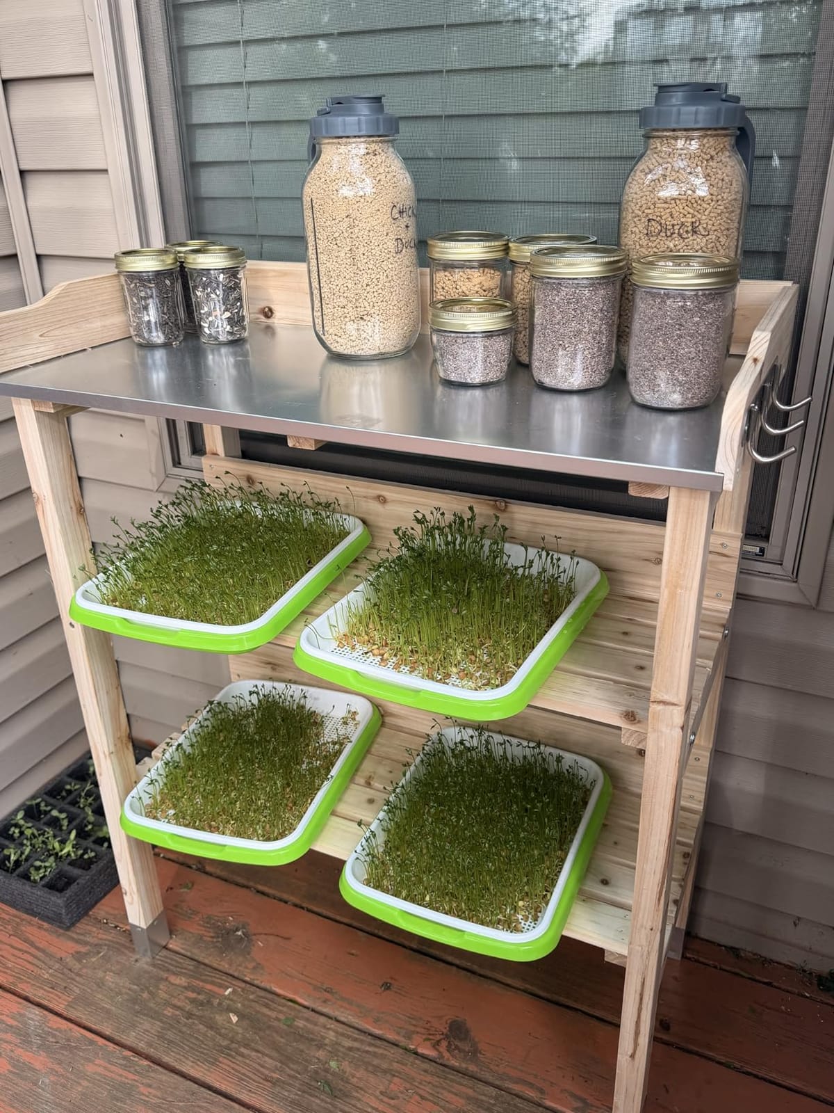 Legigo 10 Pack Seed Sprouter Trays, Microgreens Growing Trays Kit customer photo 1