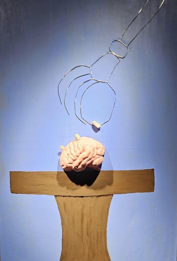 Cross Section Foam Brain Model | Free Stand, Answer Sheet & Digital Worksheet | Educational Tool Learning & Teaching Human Anatomical Function, Psychology, Biology or Science | 2 Labeled Half Pieces customer photo 2
