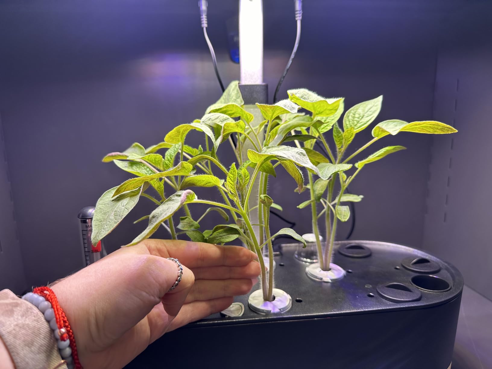 inbloom Hydroponics Growing System 12 Pods, Indoor Herb Garden with LEDs Full-Spectrum Plant Grow Light, Water Shortage Alarm, Automatic Timer, Height Adjustable,Gardening Gifts for Women, White customer photo 2