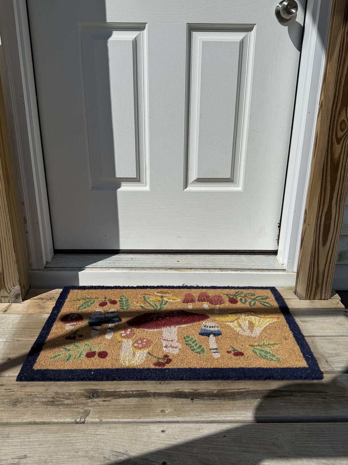 Now Designs Dragonfly Natural Coconut Fiber Printed Doormat Vinyl Backed, 18 x 30 in customer photo 2