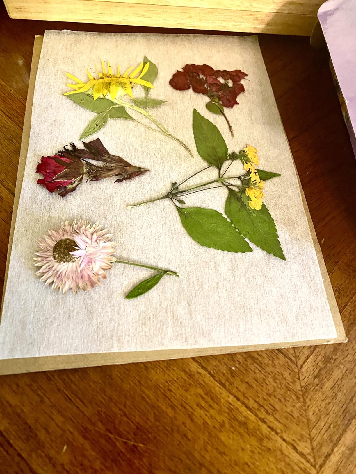 Suziko Large Flower Press Kit 10.8 x 6.9 inch for Adults, Flower and Plant Preservation Kit, Arts and Crafts for Adults Leaf Press, Great Gift for Lovers customer photo 1