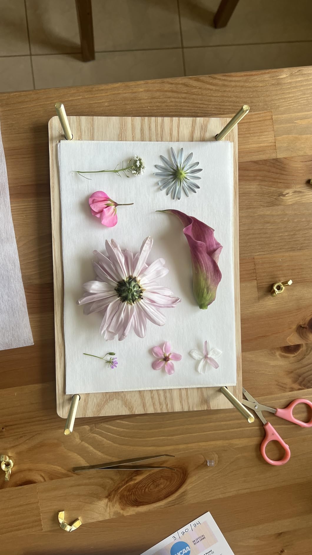 Suziko Large Flower Press Kit 10.8 x 6.9 inch for Adults, Flower and Plant Preservation Kit, Arts and Crafts for Adults Leaf Press, Great Gift for Lovers customer photo 2