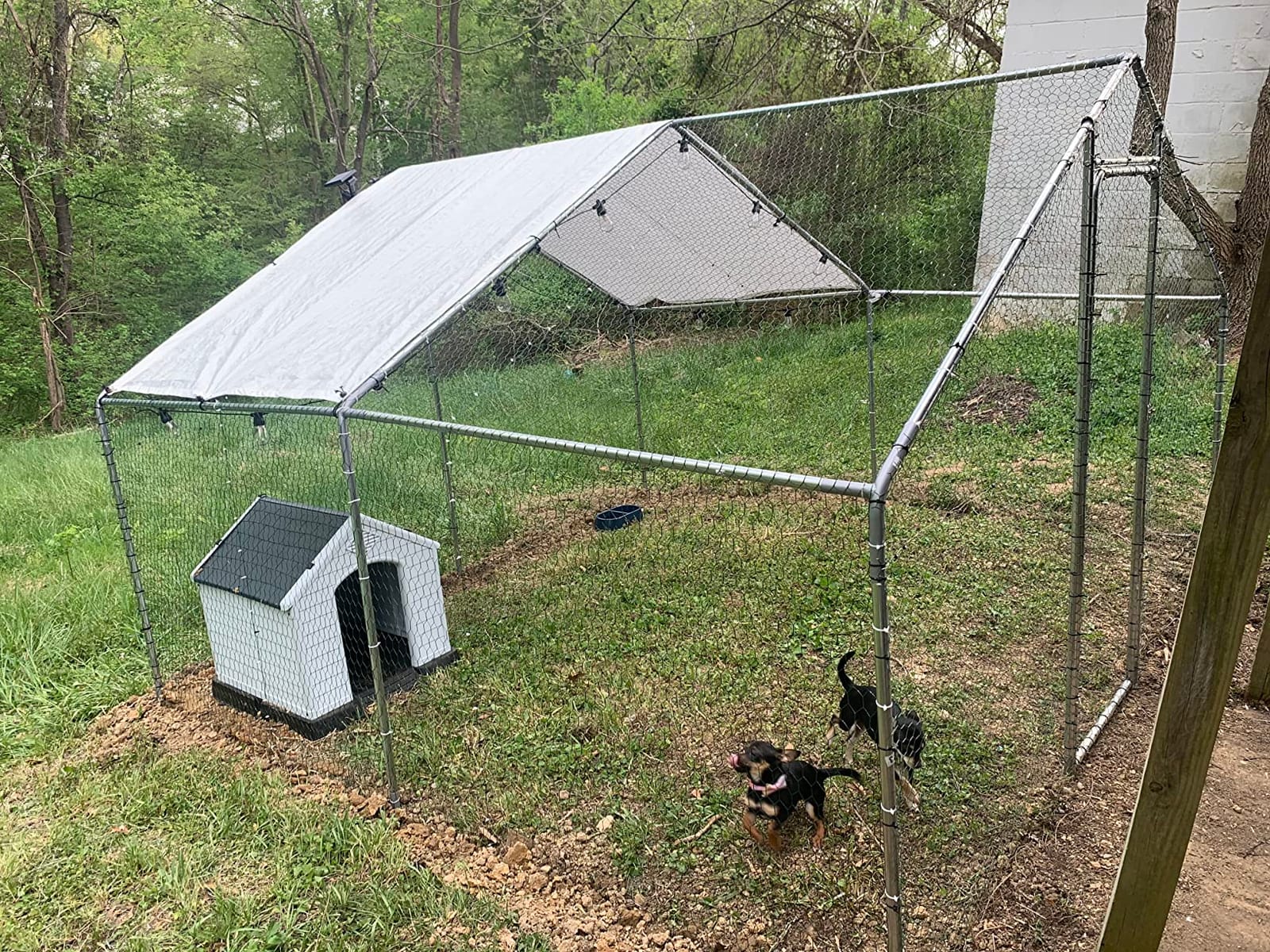 Large Metal Chicken Coop 10x10 Walk-in for 20 Chickens, Predator-Proof customer photo 1