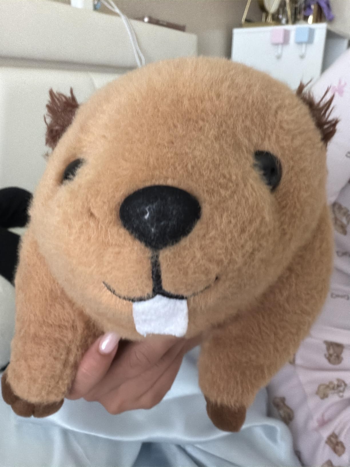 Lifelike Beaver Stuffed Animal with Big Front Teeth Animated Plush Nutria Toy Doll Super Realistic Beaver Act Like Real Excellent Gifts for Kids Birthday Party or Stuff Collection 15 Inches (Large) customer photo 1