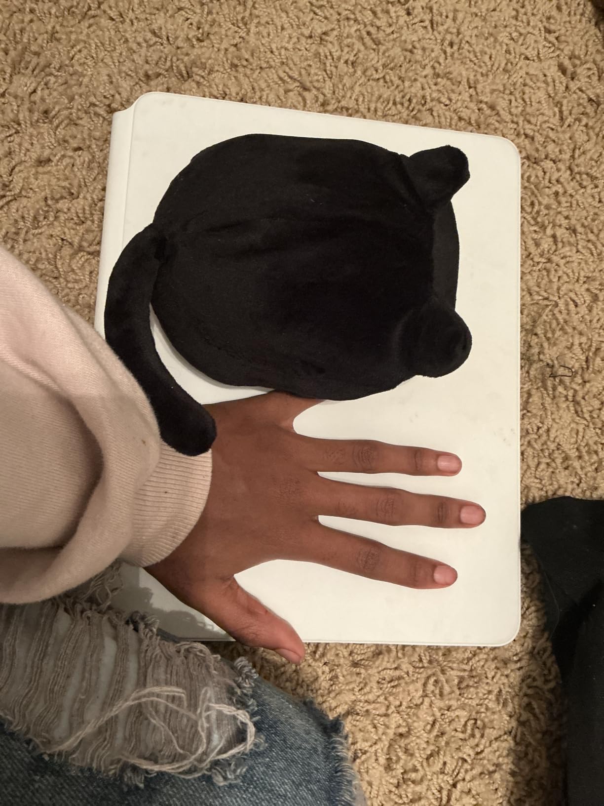 Soft Black Cat Plush Toy Pillow - Stuffed Animal for Kids, Boys & Girls Gifts customer photo 2