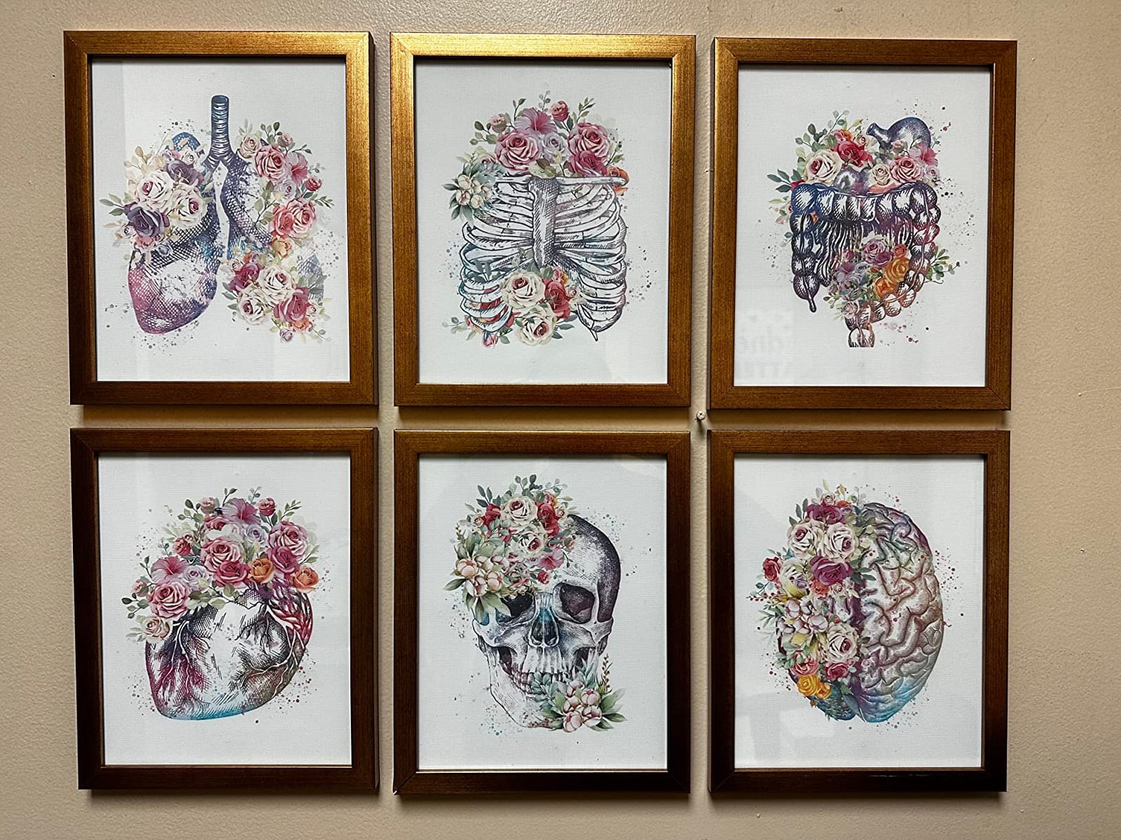 CHDITB Medical Human Anatomy Wall Art, Medical Anatomical Art Set of 6(12”x16”),Floral Heart Skull Medical Office Decor Gift for Nursing Doctor Posters for Wall, Floral Anatomy Framed Posters customer photo 2