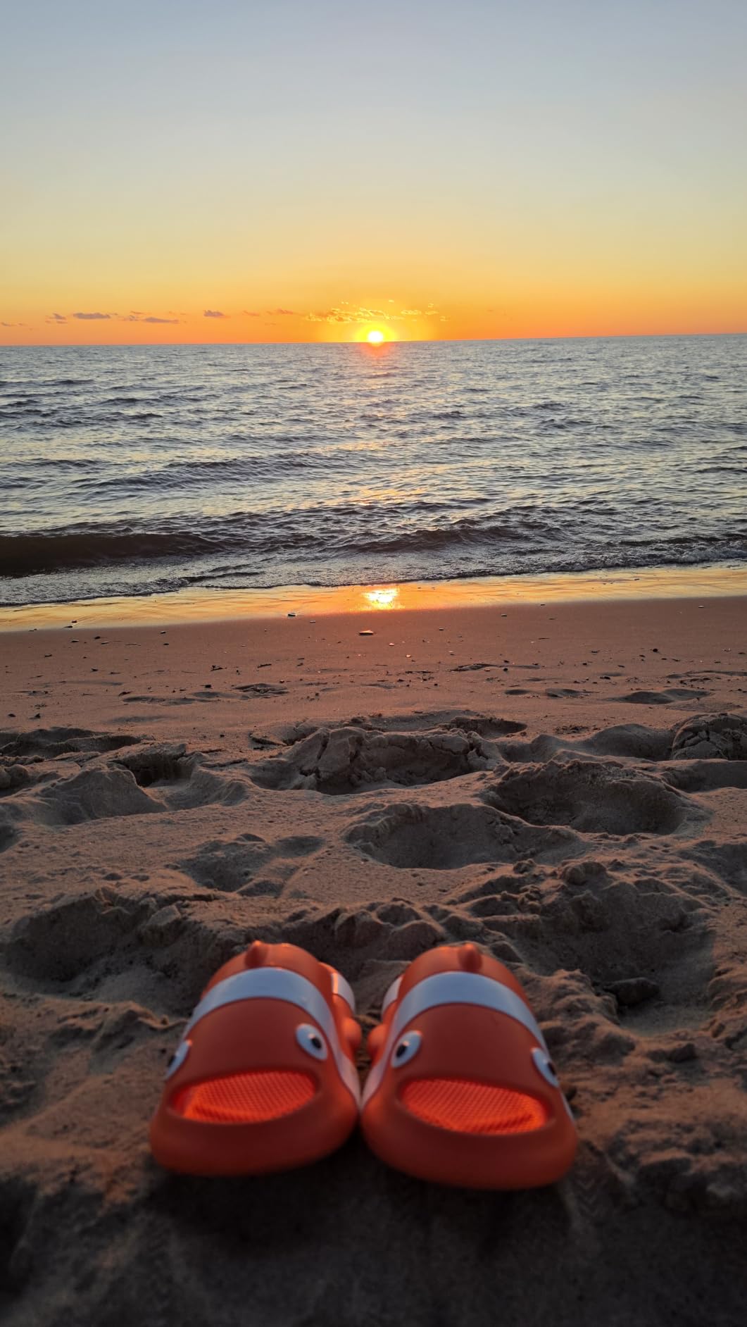 Jerzmy Clown Fish Cloud Slides for Women Men House Slippers customer photo 1