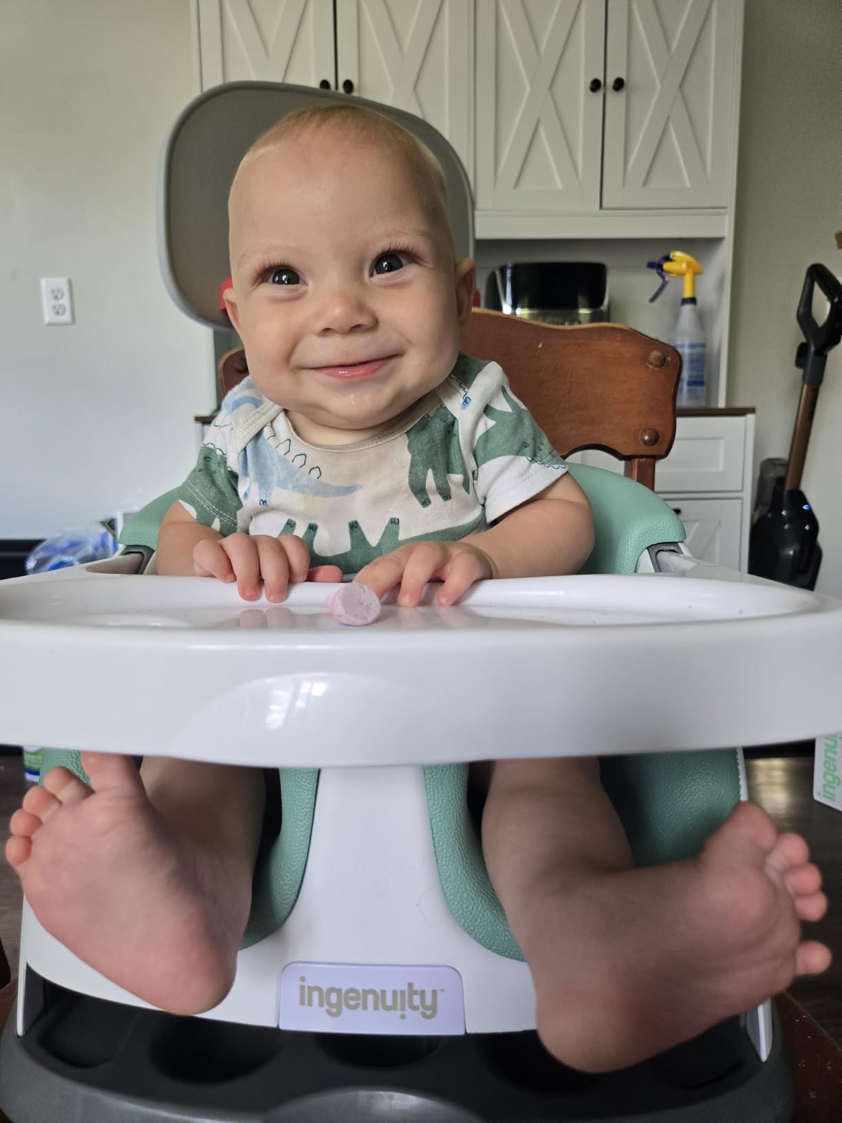 Ingenuity Baby Base 2-in-1 Booster Feeding and Floor Seat with Tray customer photo 2