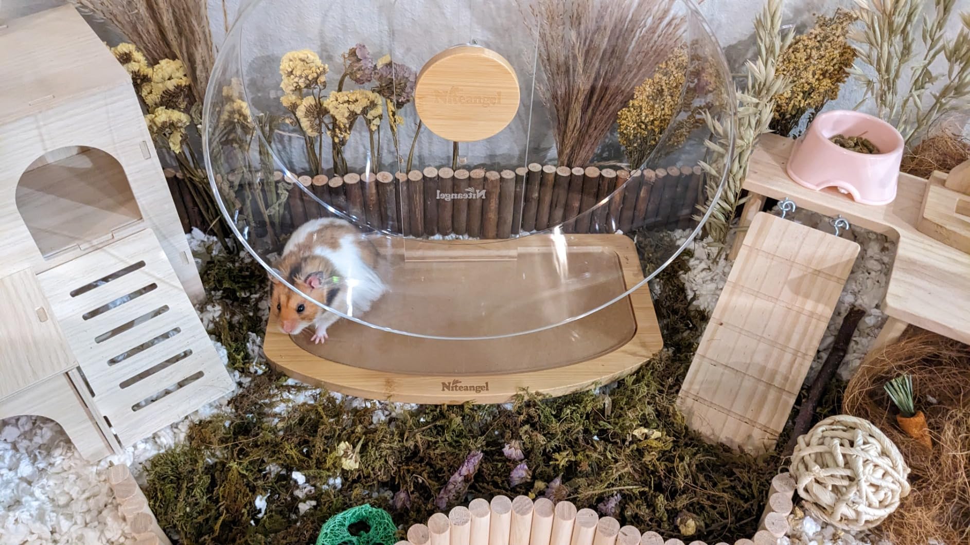 Niteangel Silent Hamster Exercise Wheel - Dual-Bearing Quiet Spinning Acrylic Hamster Running Wheel for Hamsters, Gerbils, Mice, Degus, or Other Small Animals (Large - Wider Version) customer photo 1