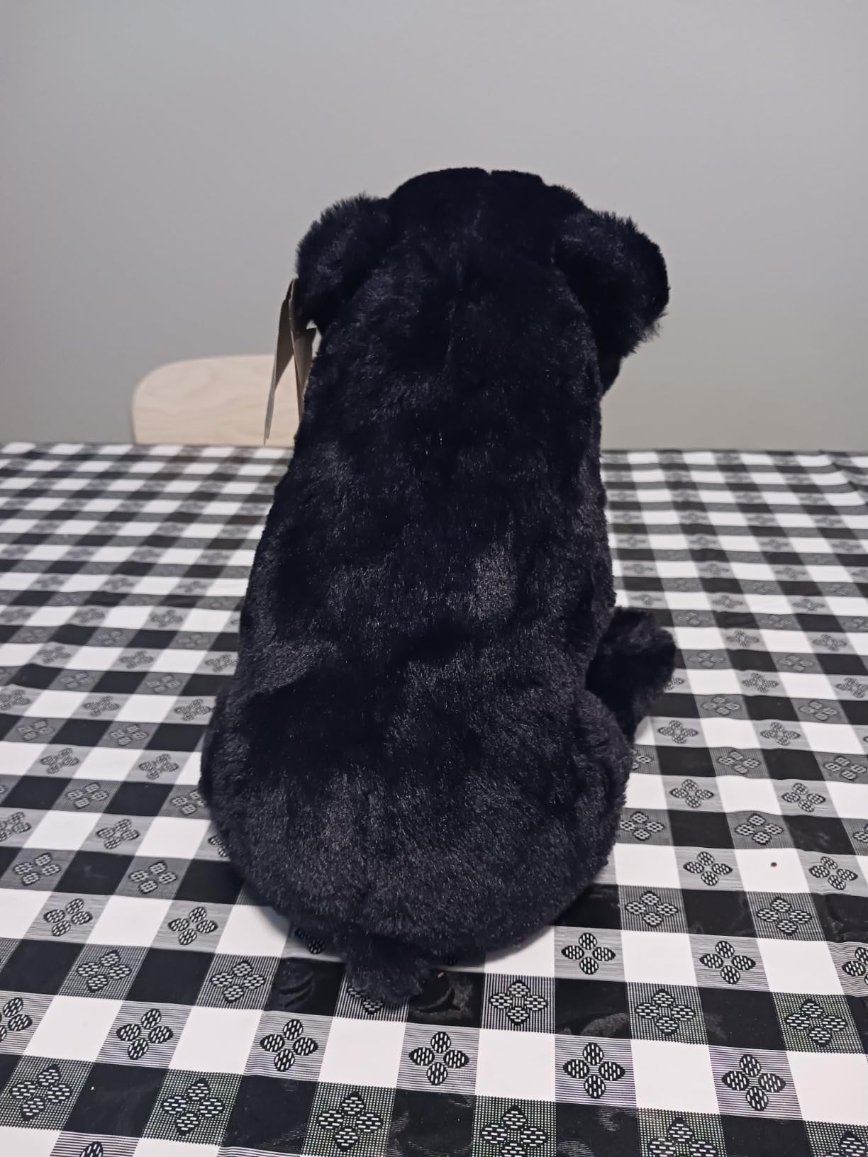 The Petting Zoo Sun Bear Stuffed Animal Plushie, Gifts for Kids, Wild Onez Rainforest Animals, Sun Bear Plush Toy, 12 inches customer photo 1