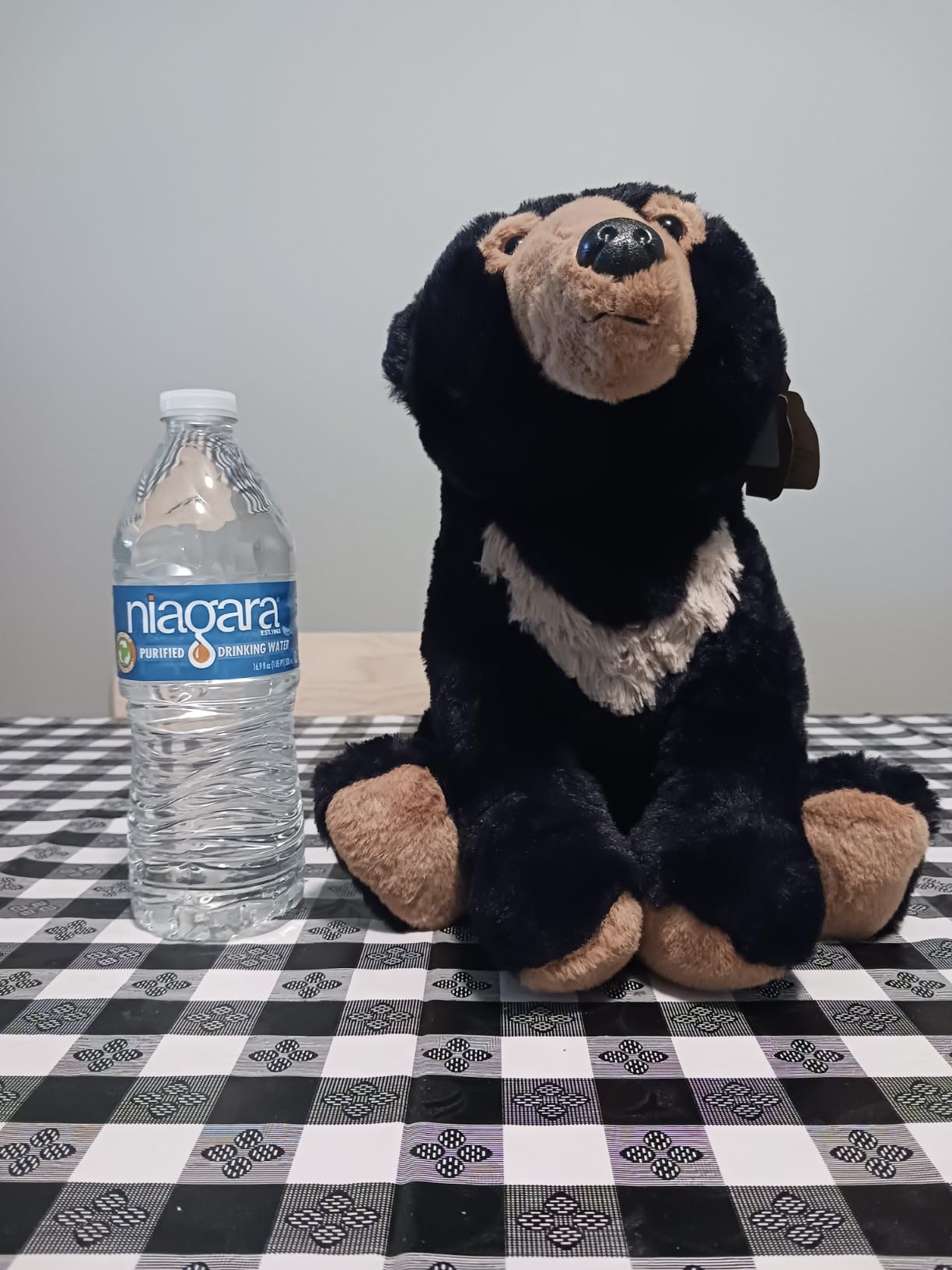 The Petting Zoo Sun Bear Stuffed Animal Plushie, Gifts for Kids, Wild Onez Rainforest Animals, Sun Bear Plush Toy, 12 inches customer photo 2
