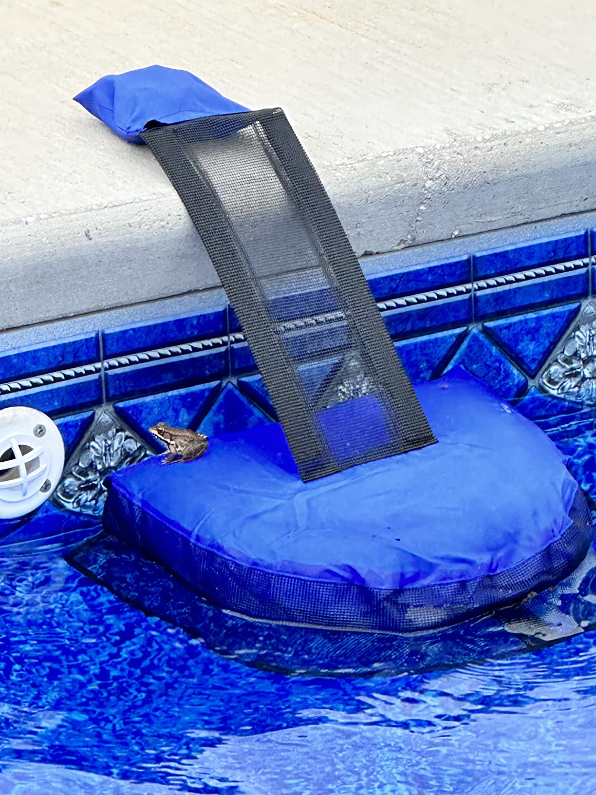 2-Pack Animal Saving Escape Ramp - Frog Floating Ramp Rescues, Pool & Spa Accessories & Tools, Saving All Small Animals Entering The Pool | Frog Saver for Swimming Pool, Pool & Spa Accessories & Tools, Saving All Small Animals Entering The Pool customer photo 1
