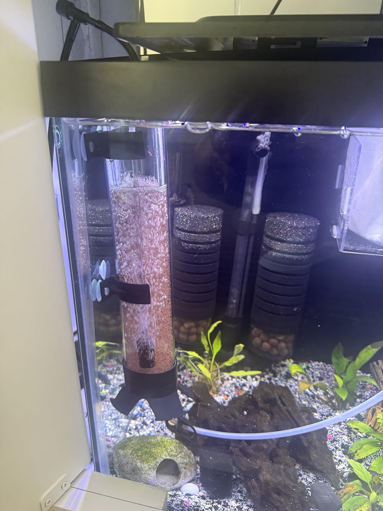 brine Shrimp Hatchery, brine Shrimp Eggs Incubator Kits,Multifunctional Artemia Hatchery with air Pump,Live brine Shrimp net,Feeder,storagerand and Large Clip(Set of 20pcs) customer photo 2