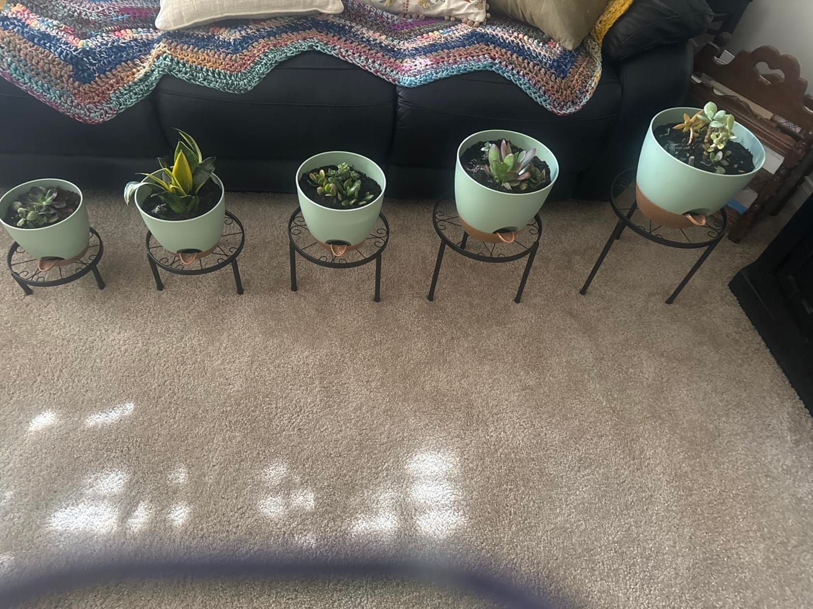 QRRICA 7/7.5/8/9/10 Inch Self Watering Pots for Indoor/Outdoor Plants customer photo 2