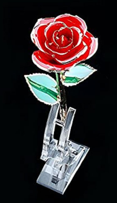 Sinvitron Gold Dipped Rose Real 24K Gold Rose, Hand Dipped One of a Kind Golden Roses, Romantic Gifts for Women on Valentines Day, Anniversary Mother’s Day (Golden) customer photo 2